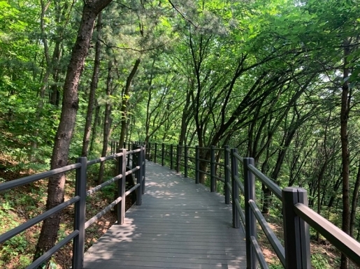 ���� ����1