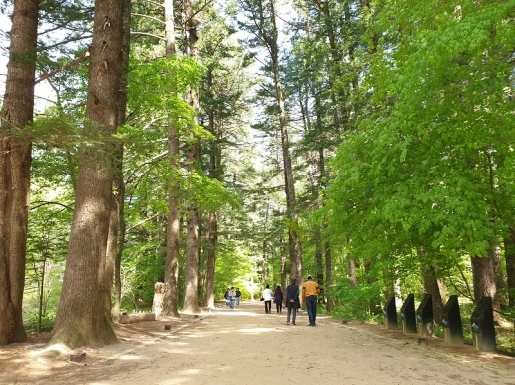 ���� ����2