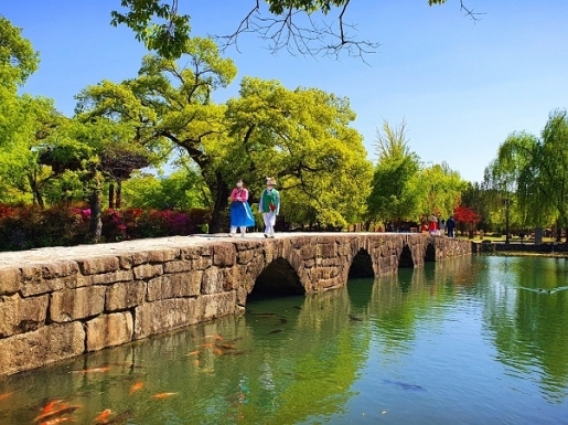 ���� ����7