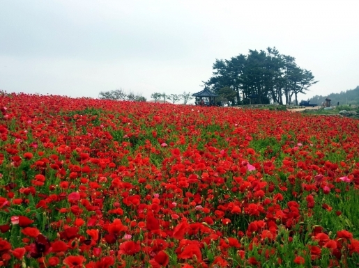 ���� ����2