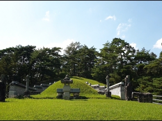 ���� ����6