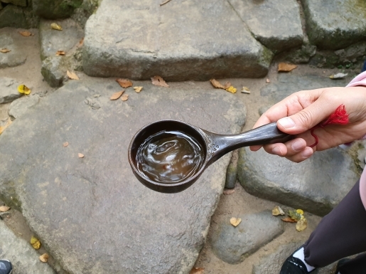 ���� ����3