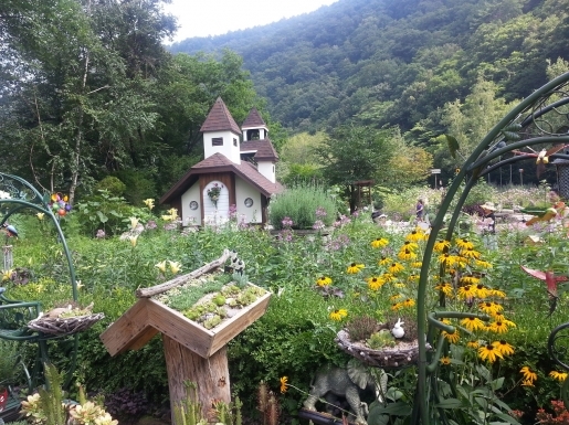 ���� ����4