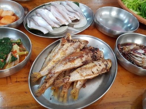 ���� ����5