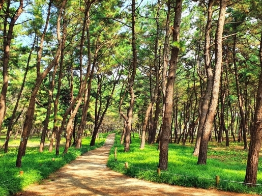 ���� ����7