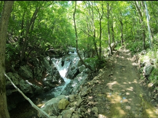 ���� ����4