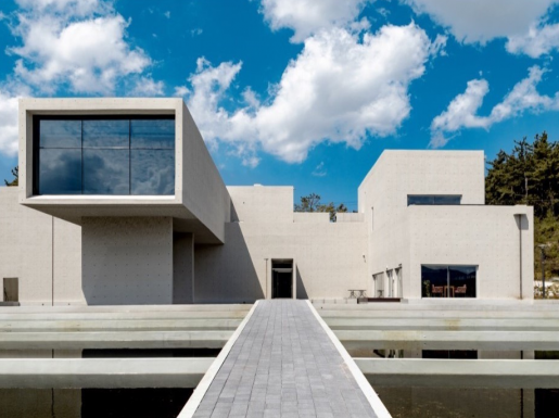 ���� ����6