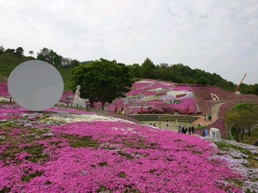 ���� ����6