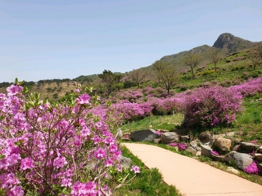 ���� ����2