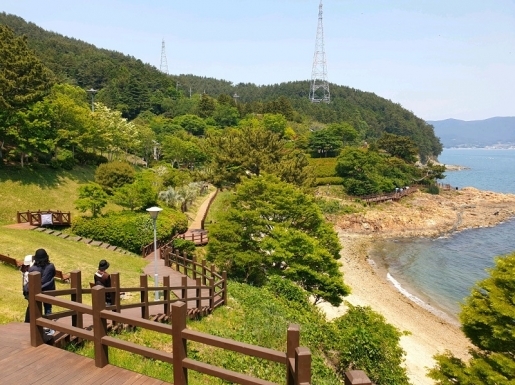 ���� ����6