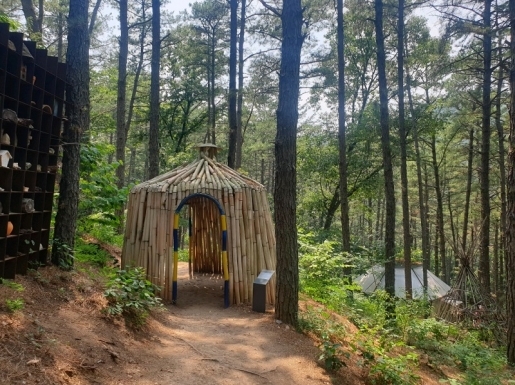 ���� ����5