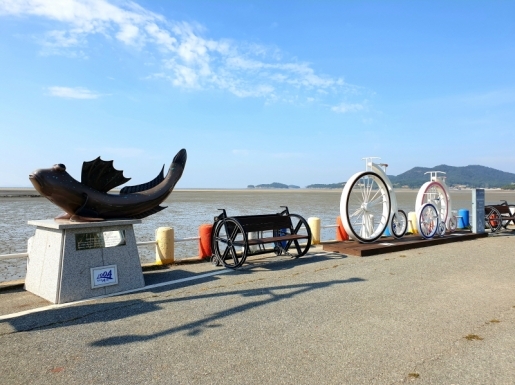 ���� ����5