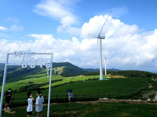 ���� ����6