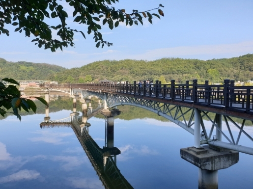 ���� ����5