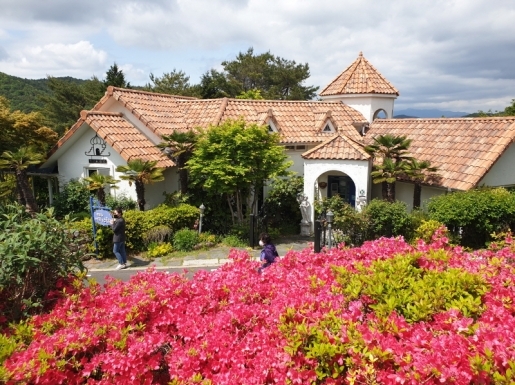 ���� ����1