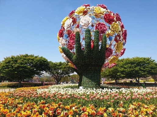 ���� ����5