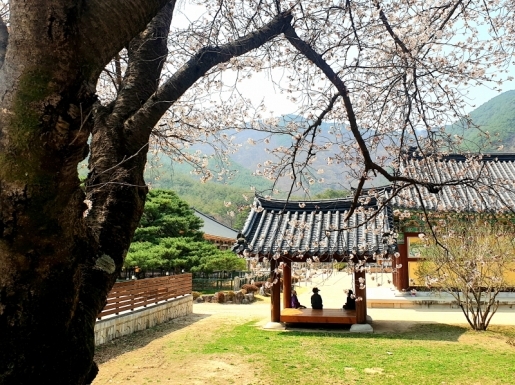 ���� ����2