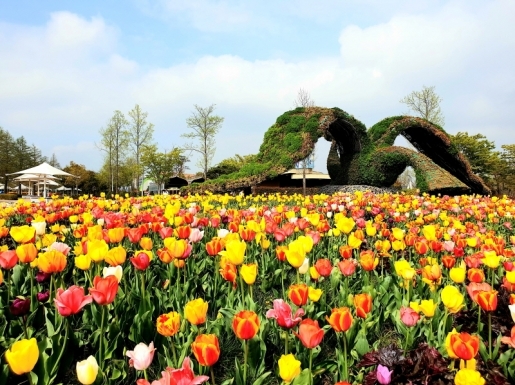 ���� ����7