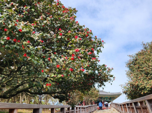 ���� ����2