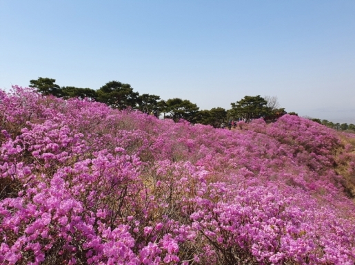 ���� ����2