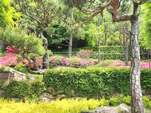 ���� ����3