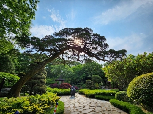 ���� ����7