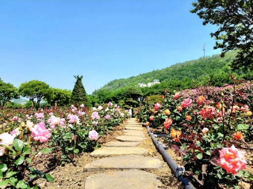 ���� ����4