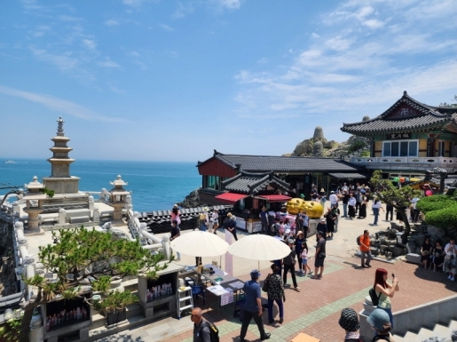 ���� ����6