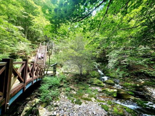 ���� ����7