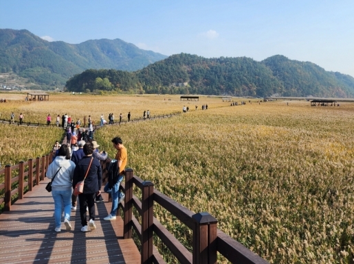 ���� ����7