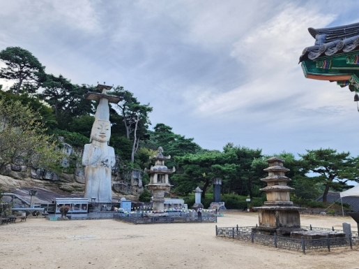 ���� ����3