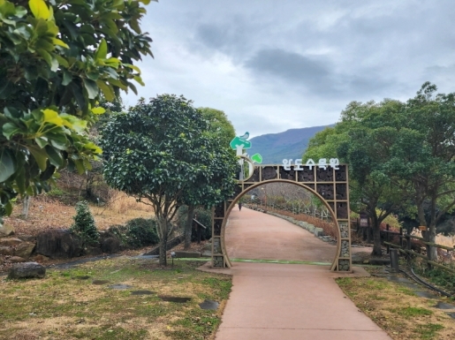 ���� ����5