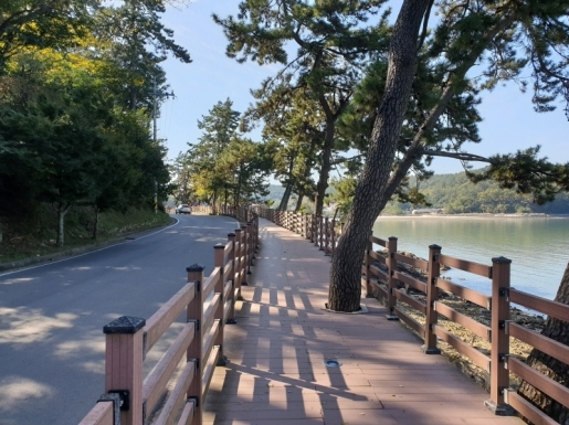 ���� ����4