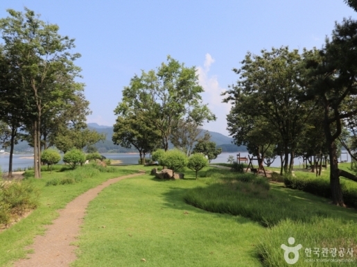 ���� ����4