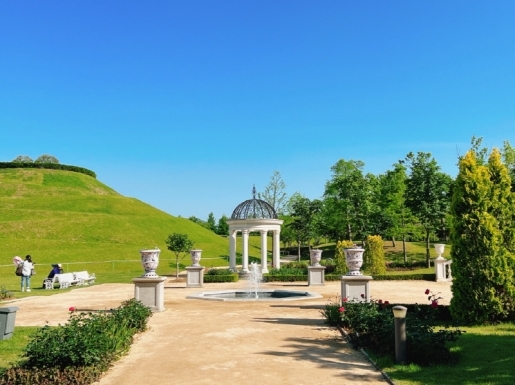 ���� ����7