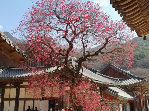 ���� ����3