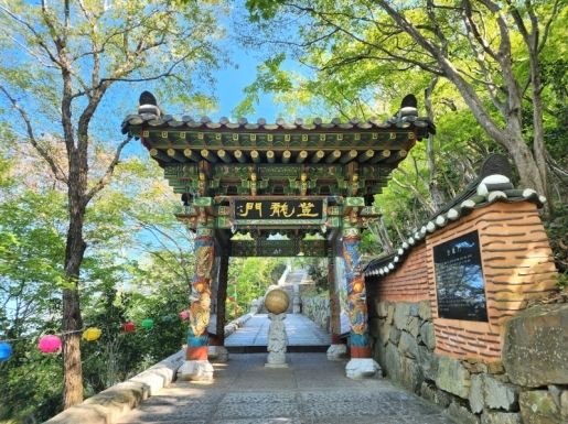 ���� ����3