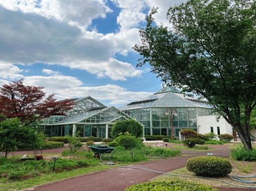 ���� ����6