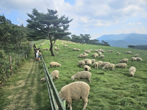 ���� ����2