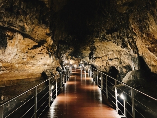 ���� ����2