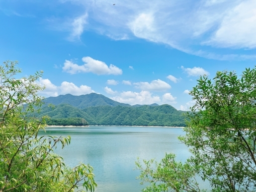 ���� ����4