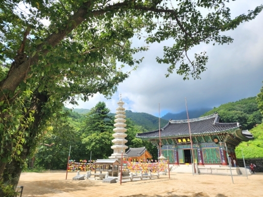 ���� ����2