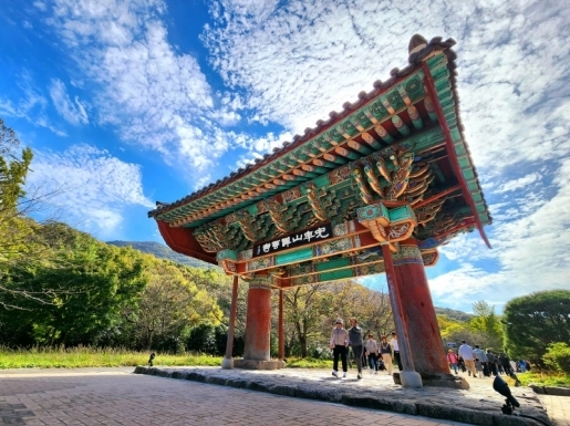 ���� ����2