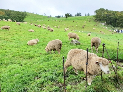 ���� ����3