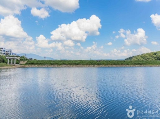 ���� ����5