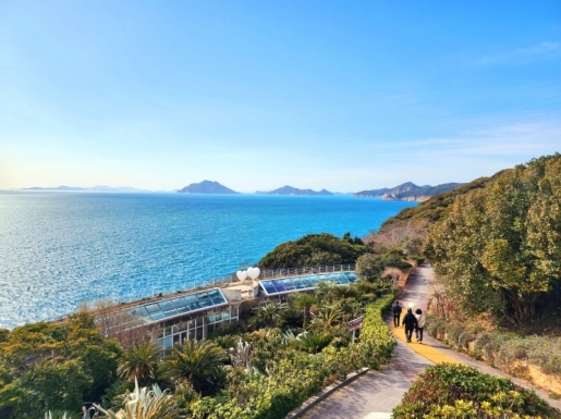 ���� ����5