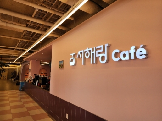 ���� ����3