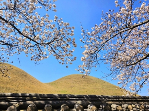 ���� ����7