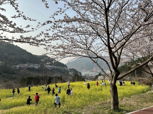 ���� ����7