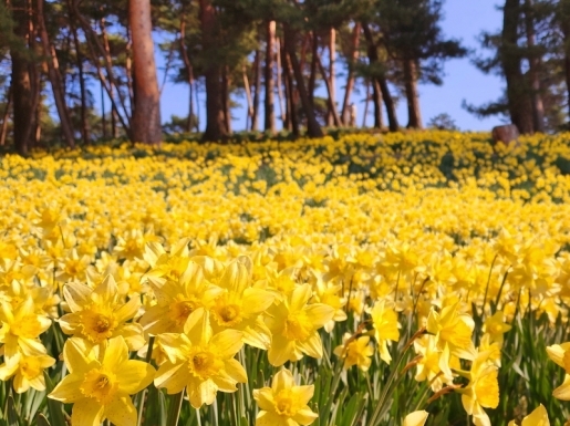 ���� ����6